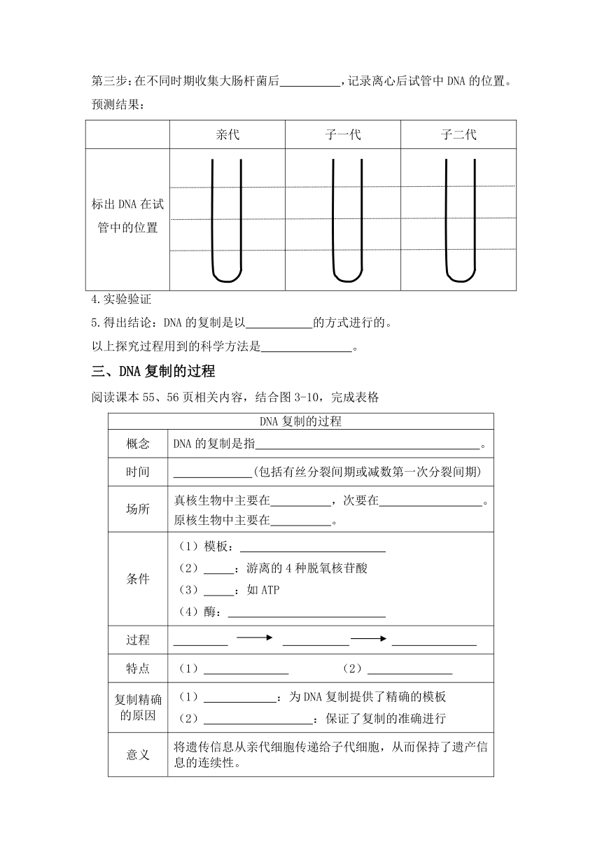 3.3DNA的复制  学案（无答案）2022-2023学年高一下学期生物人教版必修2