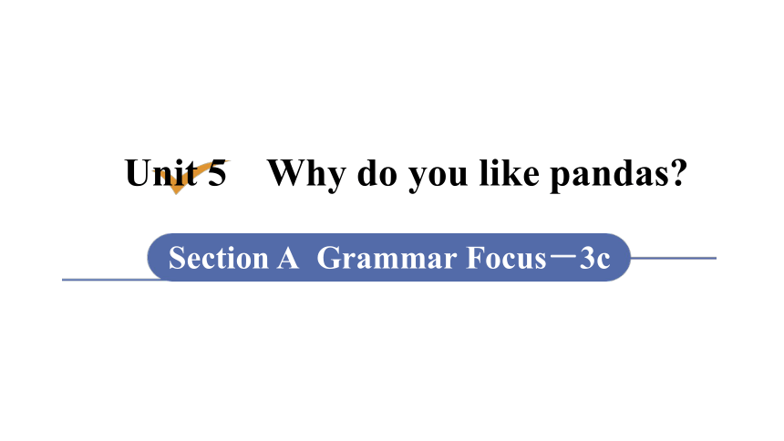 人教新目标(Go for it)版七年级下Unit 5 Why do you like pandas?　Section A (Grammar Focus－3c) 课件（17张PPT）