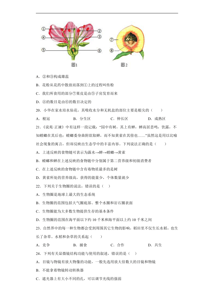 青海省西宁市城西区青师大附中2022-2023学年七年级上学期12月月考生物学试题（含答案）