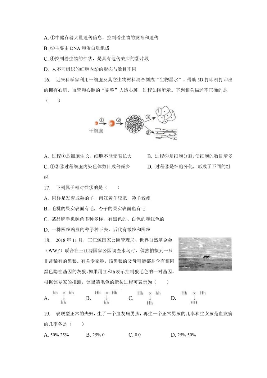 山西省朔州市右玉三中2022-2023学年下学期八年级期中生物试卷（含答案）