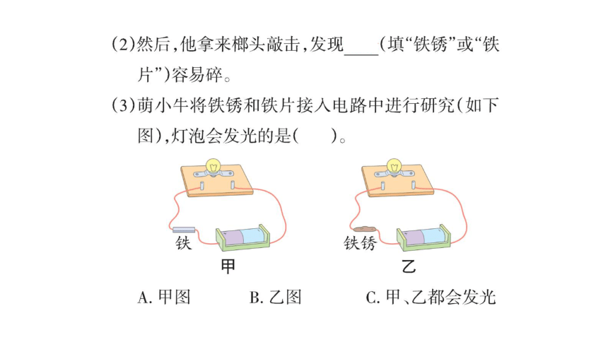 大象版六年级科学下册 第3单元实验探究(含练习)课件(共12张PPT)