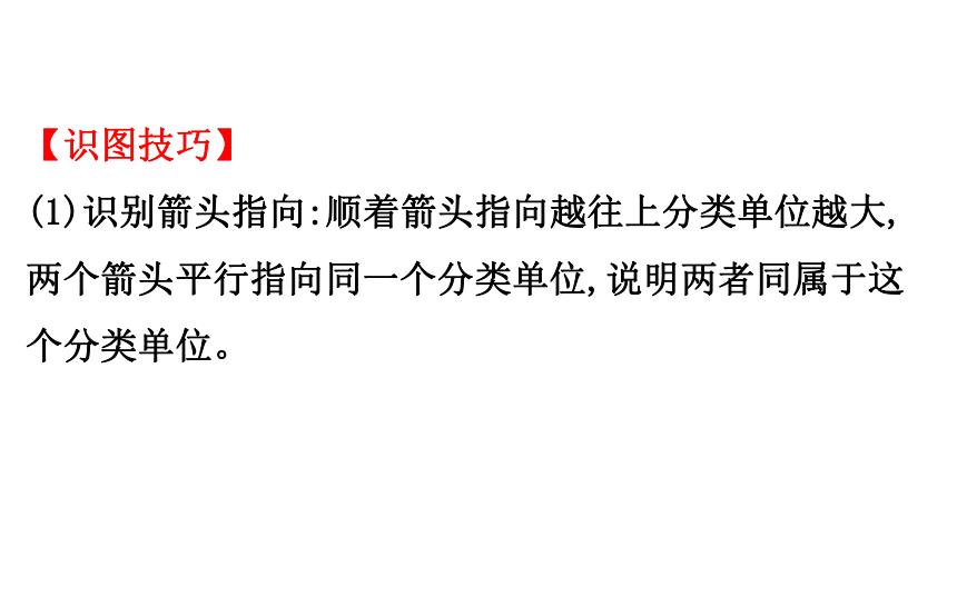 2021-2022学年人教版生物中考复习之生物的多样性及其保护课件（46张PPT）