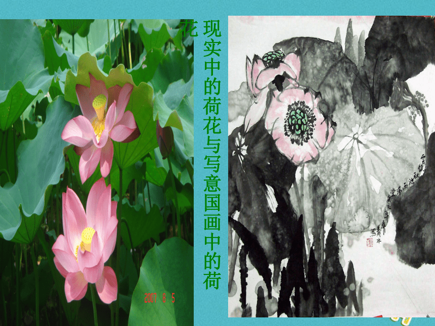 苏少版七年级美术上册 第1课 抒情与写意——中国花鸟画 课件（29ppt）