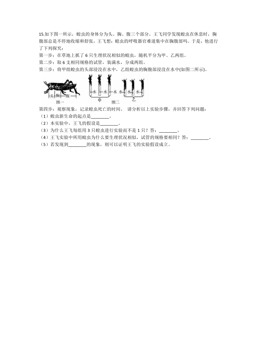 1.5科学探究 同步练习（含解析）