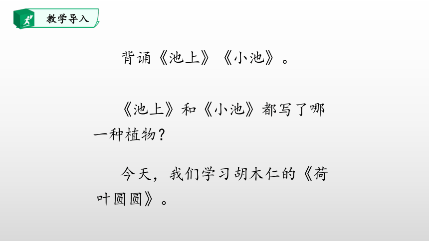 13、荷叶圆圆 课件(共48张PPT)