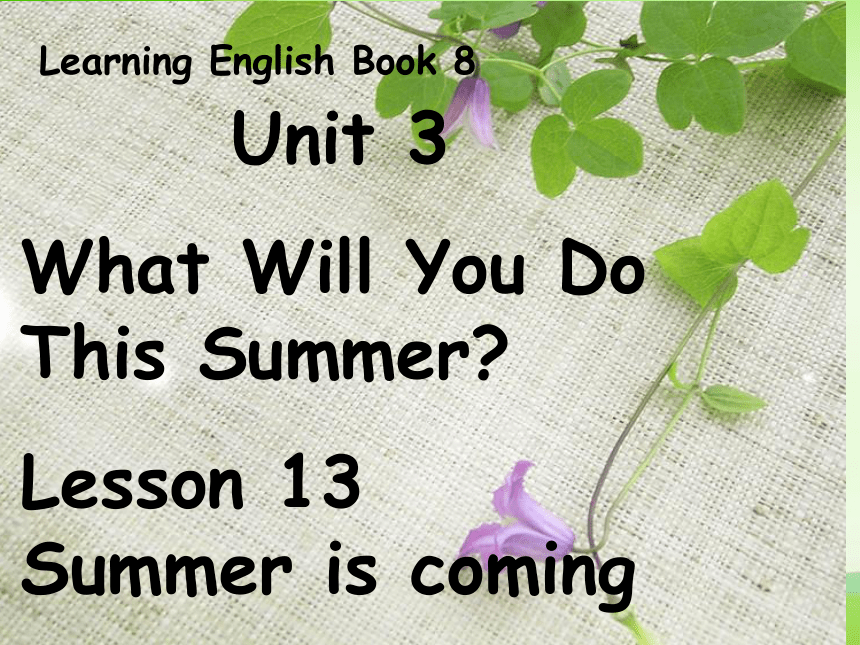 Unit 3   Lesson 13 Summer is coming课件(共24张PPT)