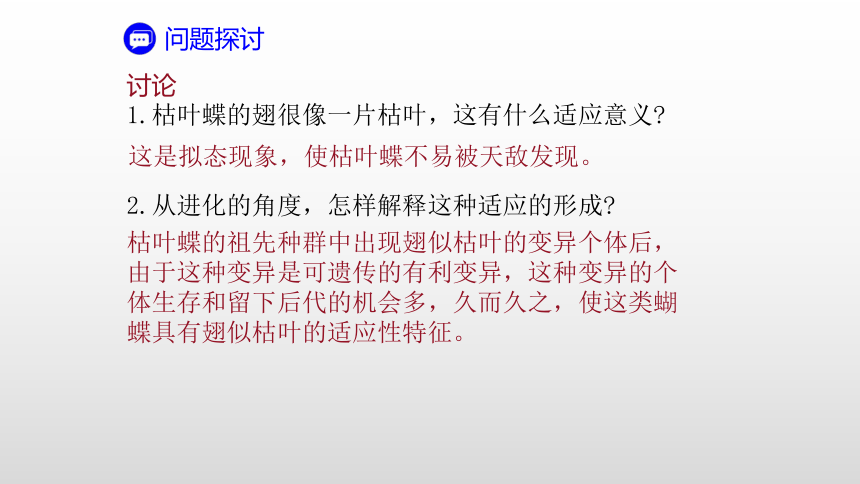 高中生物人教版（2019）必修2-6.2 自然选择与适应的形成 课件（共45张ppt）