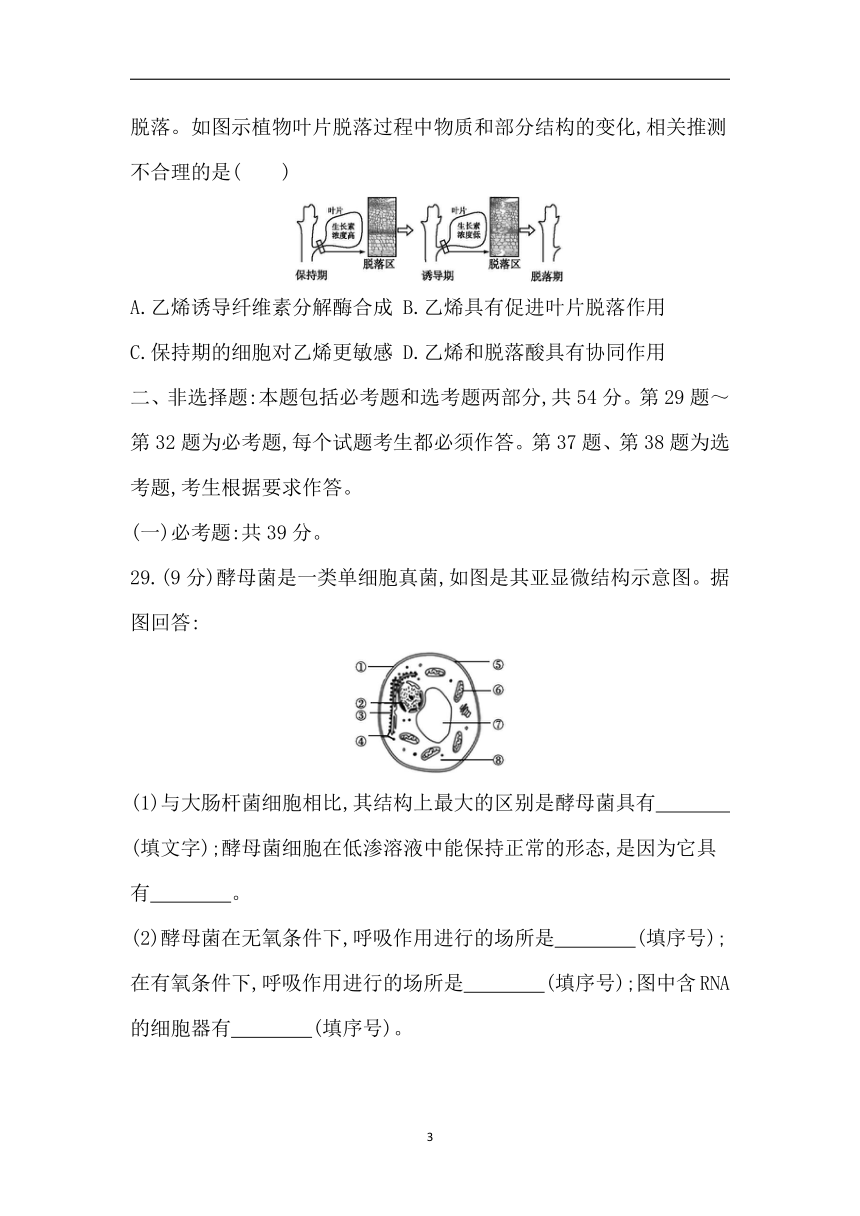 3高中生物二轮复习：高考仿真冲刺卷三（含答案详解）