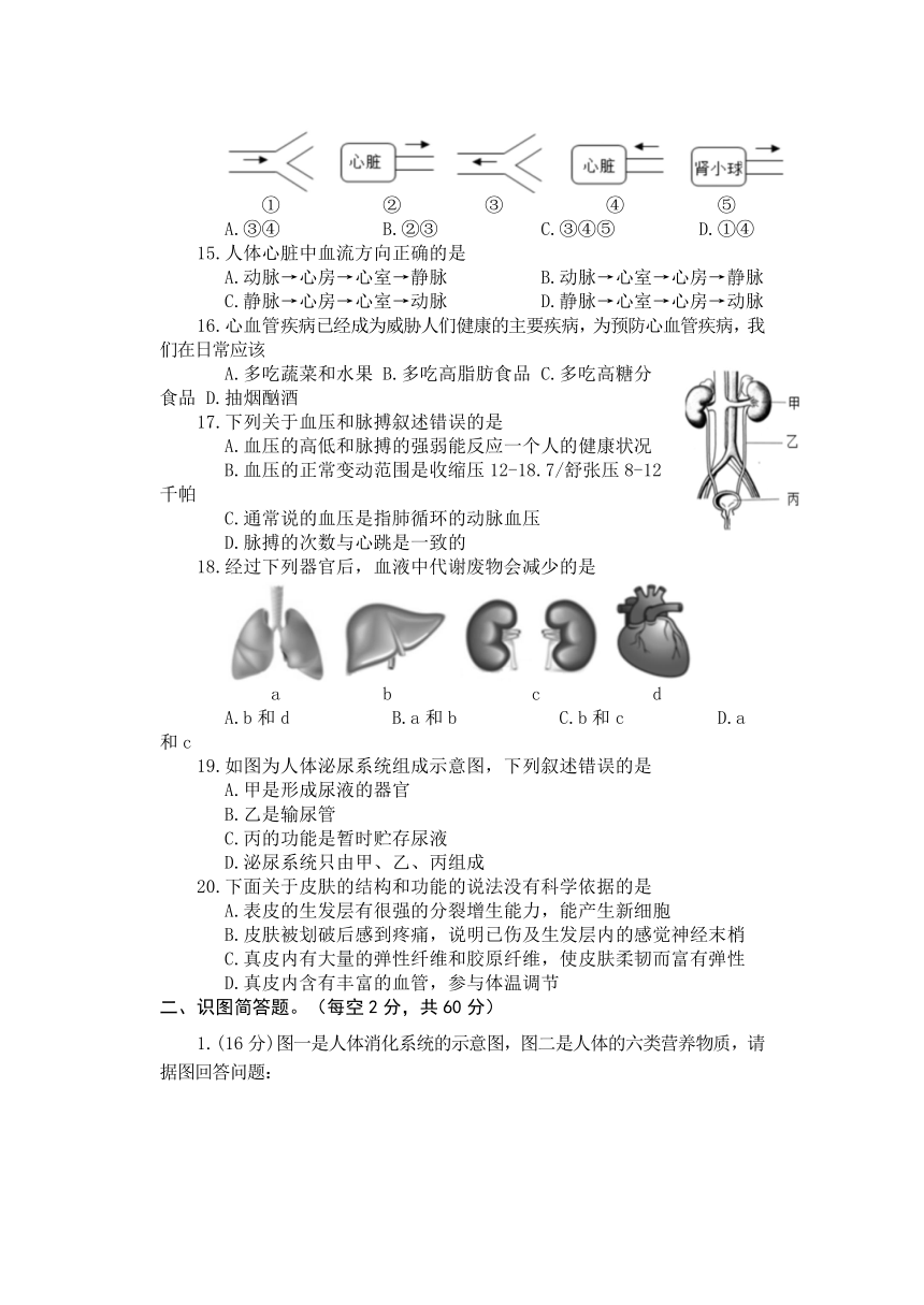 山东省枣庄市薛城区2021-2022学年七年级下学期期中考试生物试题（word版含答案）