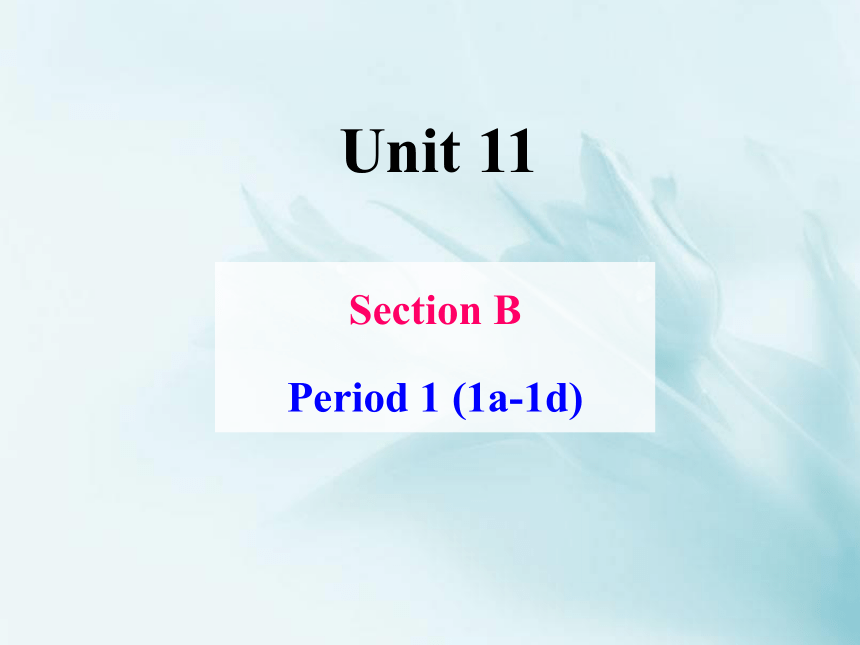 Unit 11 How was your school trip? Section B 1a -1d 课件(共19张PPT)