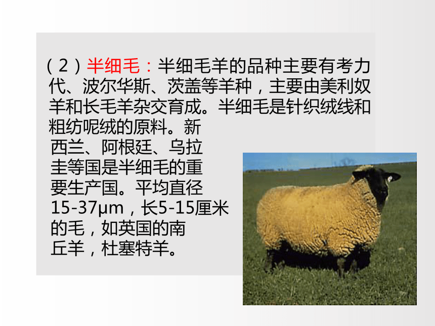 2.2毛和丝 课件(共61张PPT)-《服装材料》同步教学（中国纺织出版社）