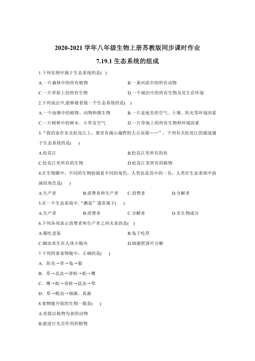 7.19.1 生态系统的组成 课时作业（含解析）