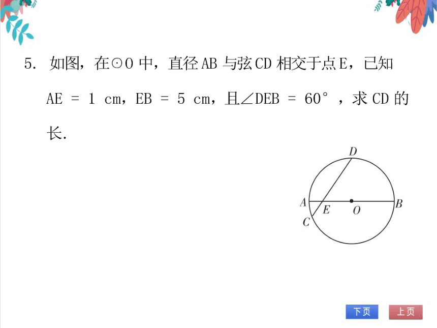 【北师大版】数学九(下)3.3.1 垂径定理 同步练习本（课件版）