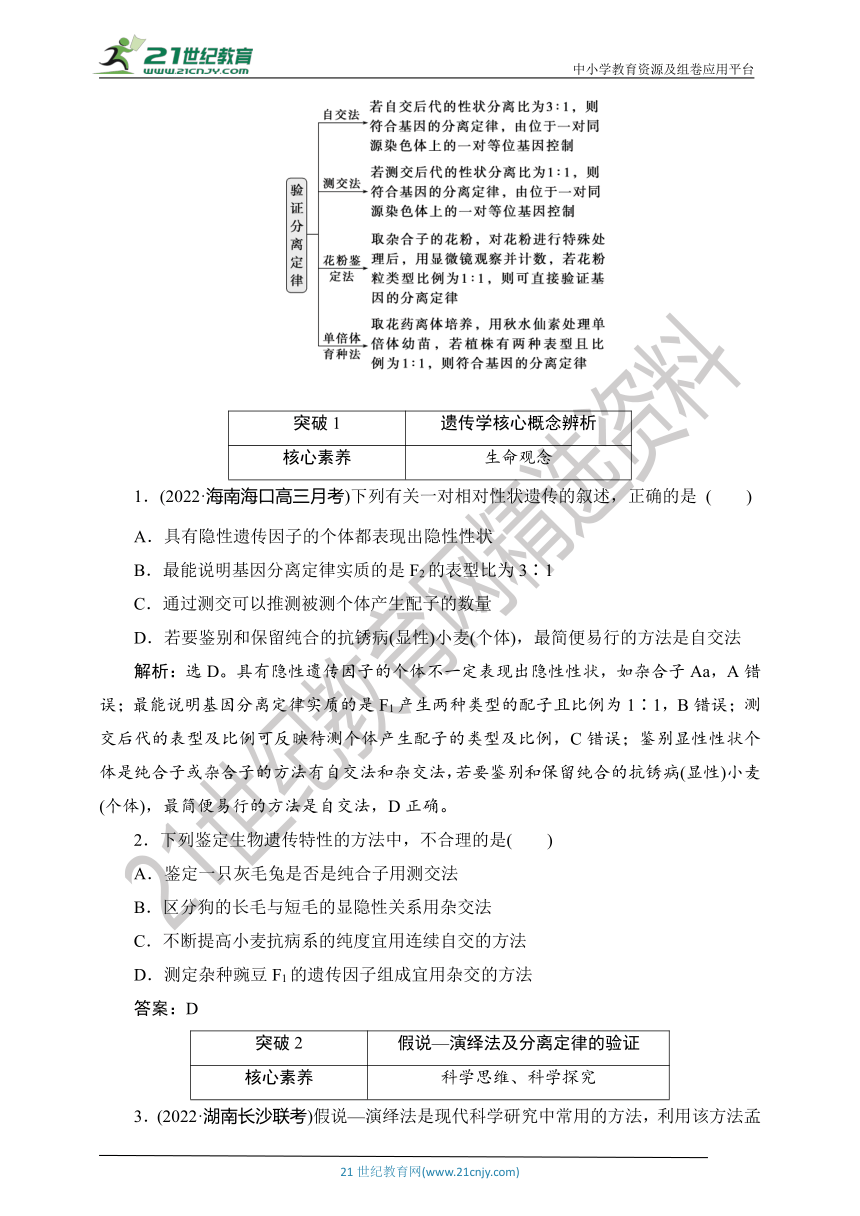 【考点梳理  生物总复习 】30第13讲　基因的分离定律（Word版含答案）