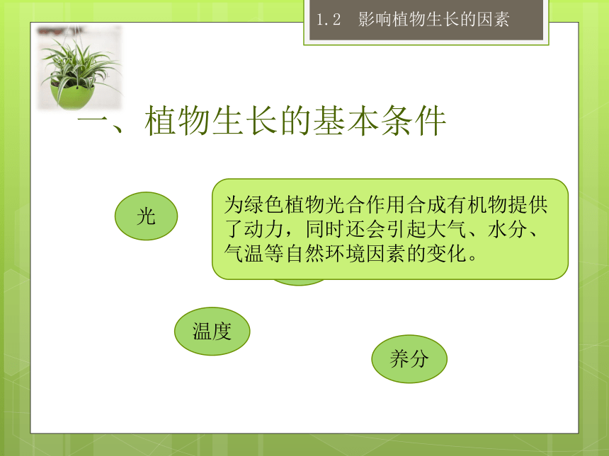 1.2 影响植物生长的因素 课件(共15张PPT)   2022—2023学年云南省劳动技术教育八年级上册