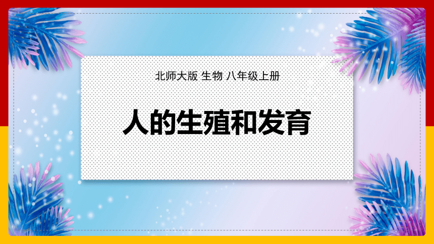 6.19.1人的生殖和发育课件（22张PPT）