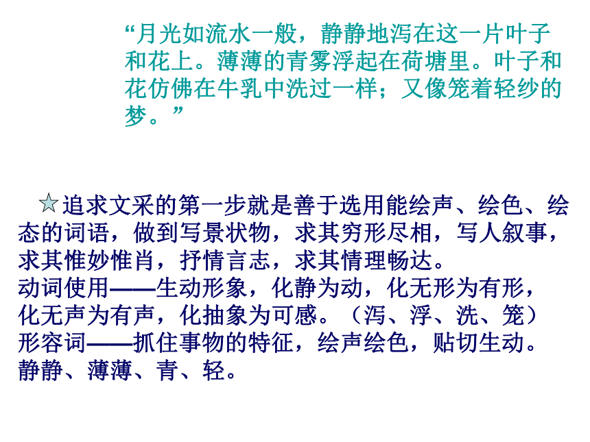 高中语文新课标人教版必修5-- 学习写得有文采 课件(共13张PPT)