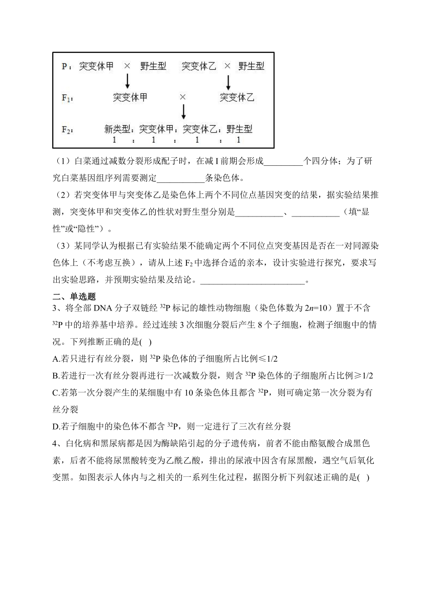 湖南省衡阳市名校2022-2023学年高三下学期5月第4周好题推荐生物试题（Word版含解析）