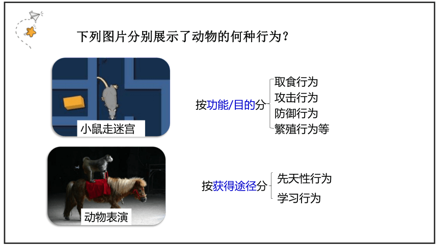 5.2.2先天性行为和学习行为课件(共19张PPT)2022--2023学年人教版生物八年级上册