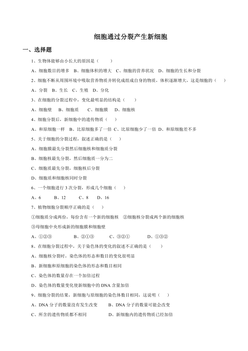 人教版生物七年级上册 2.2.1《细胞通过分裂产生新细胞》同步练习（word版，无答案）