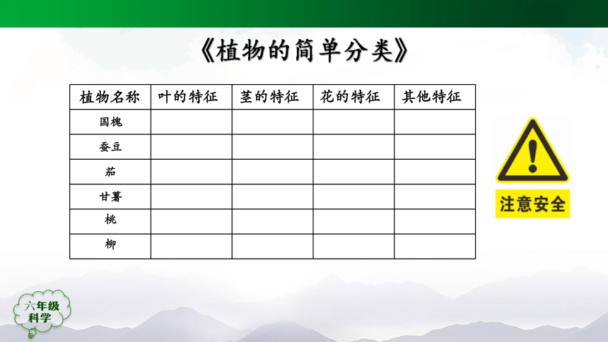 人教鄂教版（2017秋）科学六上 第二单元 田野里的生物(单元回顾) 课件(38张ppt)+内嵌视频