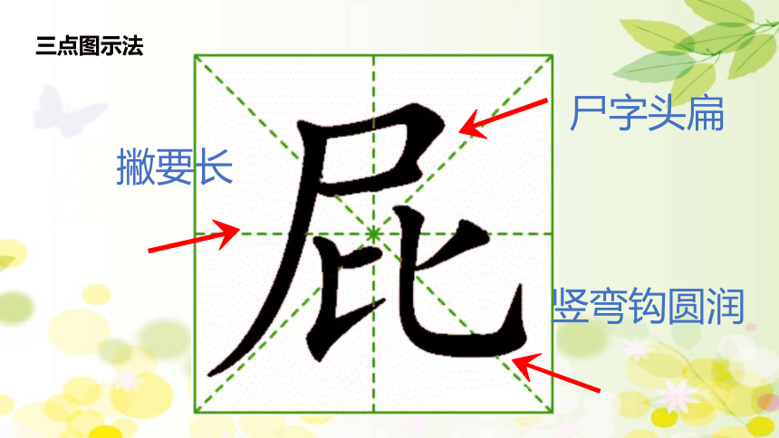 11我是一只小虫子 课件(共27张PPT)