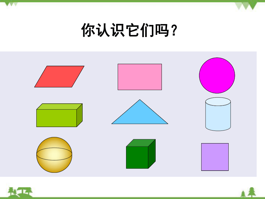 北师大版数学四年级下册 二 图形分类课件(共24张PPT)