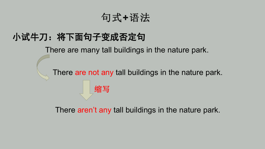 Unit 6In a nature park单元复习课件(共36张PPT)