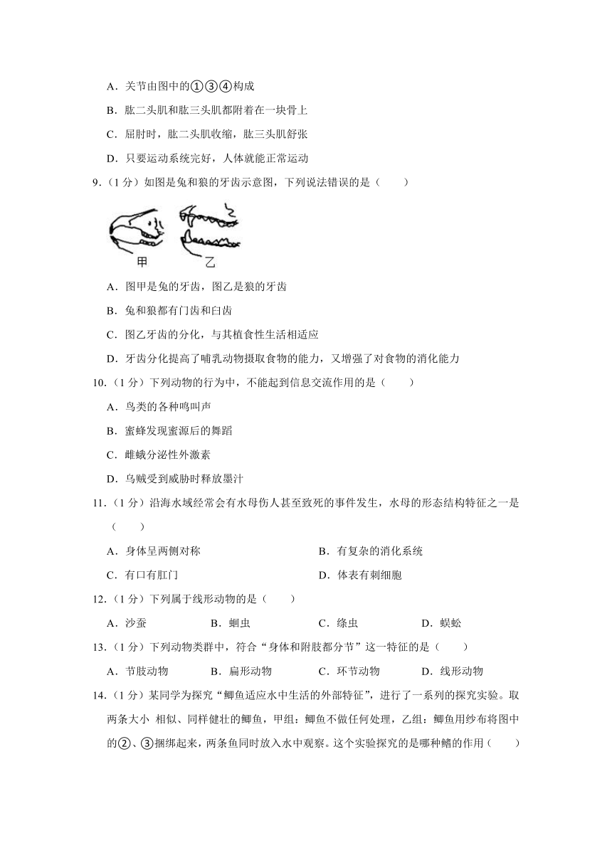 2021-2022学年吉林省长春市朝阳区八年级上学期期中生物 （word版含解析）