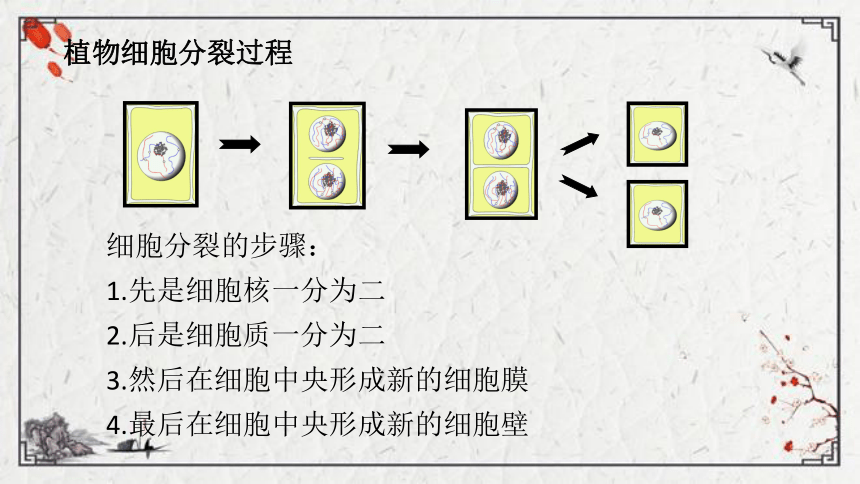 【学优课堂】初中生物人教版七年级上册 2.2.1细胞通过分裂产生新细胞课件（21张PPT)