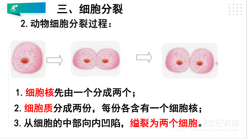 2.2.1 细胞通过分裂产生新细胞课件（共20张PPT）