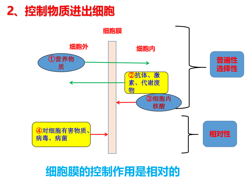 2021-2022学年高一上学期生物人教版必修一3.1细胞膜的结构和功能课件（共39张PPT）