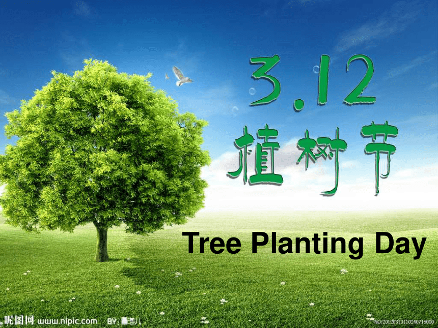 Unit 4 Planting trees is good for us 课件(共17张PPT)