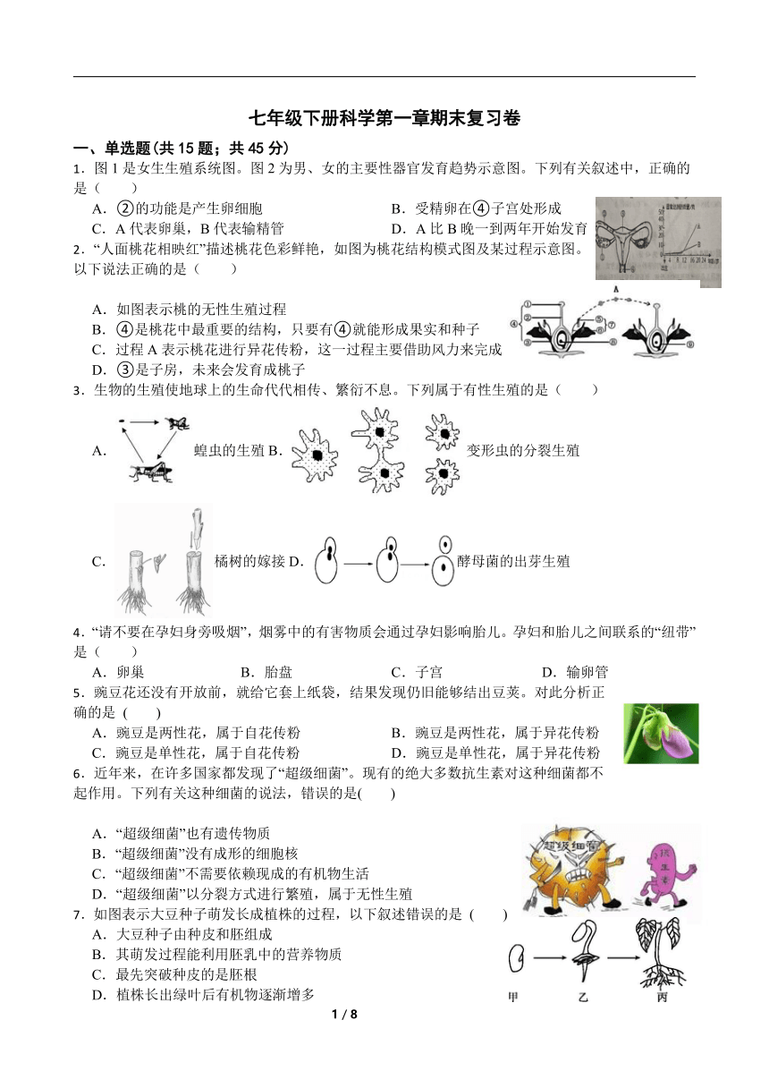 第1章  代代相传的生命  期末复习卷（含答案）