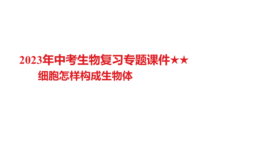 2023年中考生物复习专题课件★★细胞怎样构成生物体