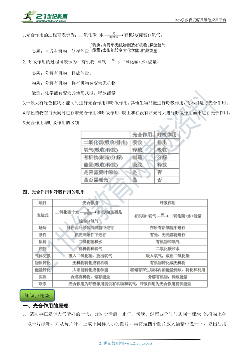 【8年级下册同步讲练测】3.6 光合作用 知识点精练（含答案）