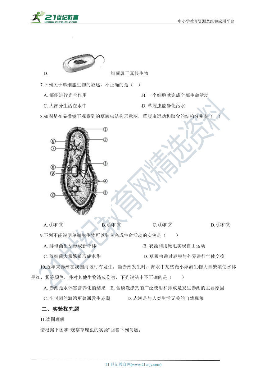 苏科版2021初中生物七下4.9.3单细胞的生物体 同步练习（含解析）