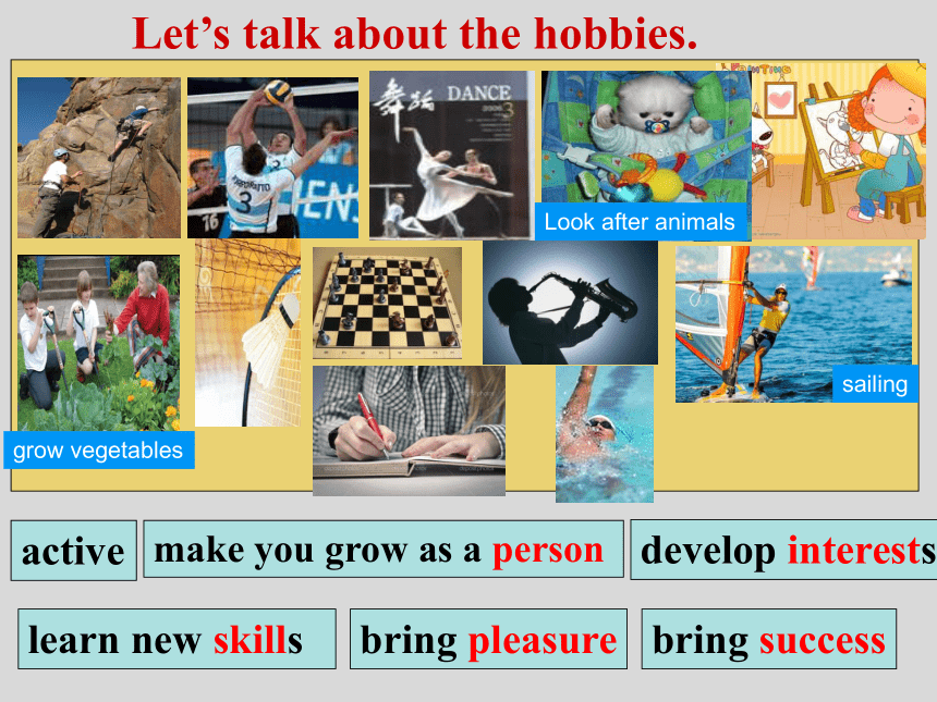 Module 6 Hobbies  Unit 2 课件(共17张PPT)外研版八年级下册