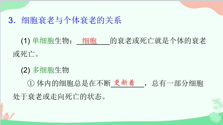 生物人教版(2019)必修1 第6章 细胞的生命历程 第3节细胞的衰老和死亡课件(共74张PPT)