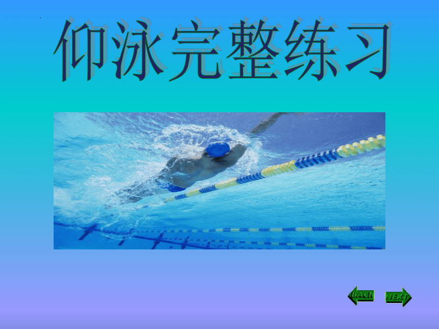 第十章游泳——仰泳完整练习说课课件人教版初中体育与健康八年级全一册(共17张PPT)