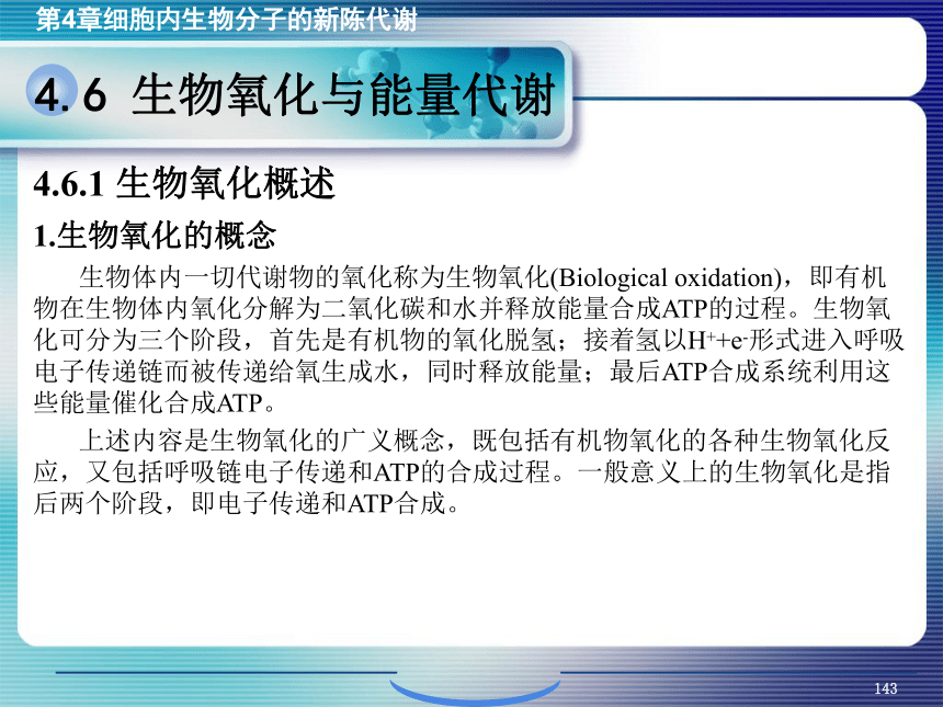 4.细胞内生物分子的新陈代谢_5 课件(共62张PPT）- 《环境生物化学》同步教学（机工版·2020）