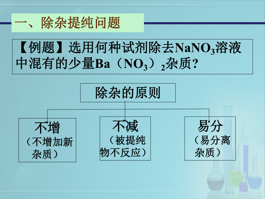 11.1生活中常见的盐（第4课时除杂和粗盐提纯）课件(共21张PPT)---2022-2023学年九年级化学人教版下册