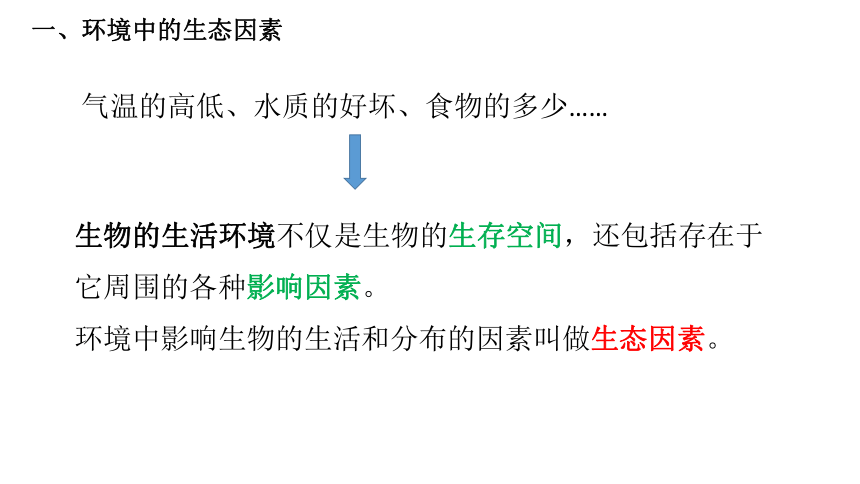 初中生物人教版七年级上册1.2.1生物与环境的关系（第一课时）课件(共22张PPT)