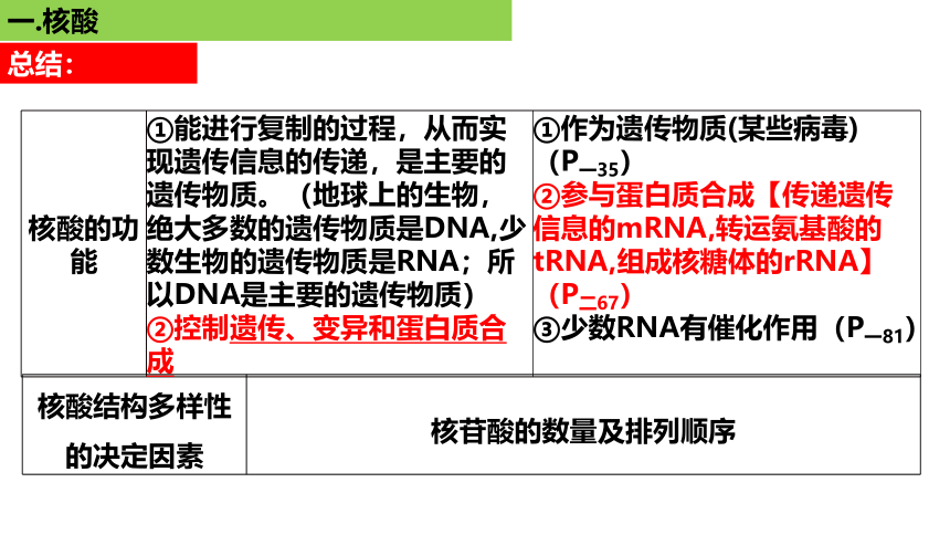 新人教必修1专题复习课件：07 核酸、糖类和脂质(共72张PPT)