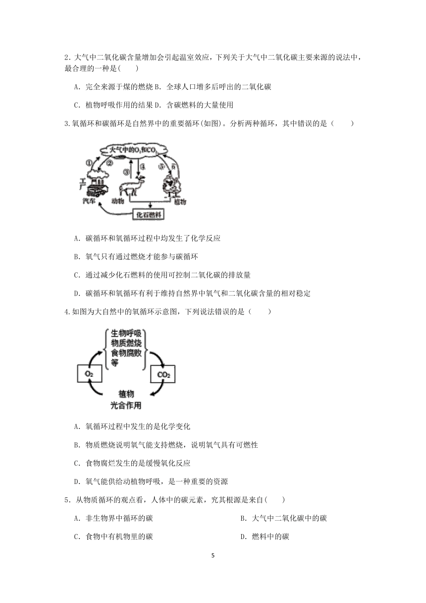 【快人一步】浙教版2022-2023学年寒假八（下）科学讲义（二十四）：自然界中的氧循环和碳循环【wrod，含答案】