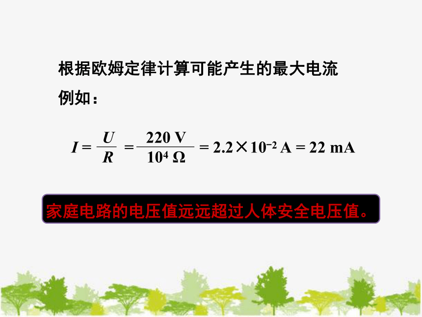 人教版物理九年级下册 19.3 安全用电课件(共29张PPT)