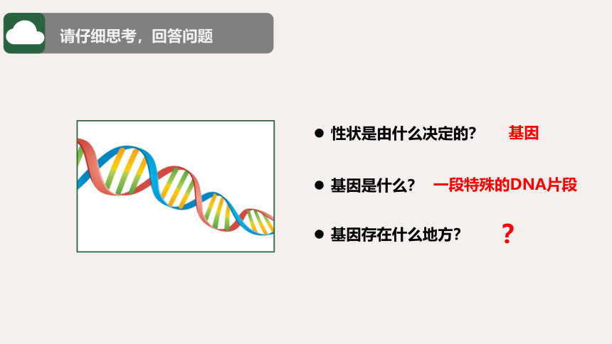 7.2.2人教版基因在亲子代间的传递课件（含22张ppt）
