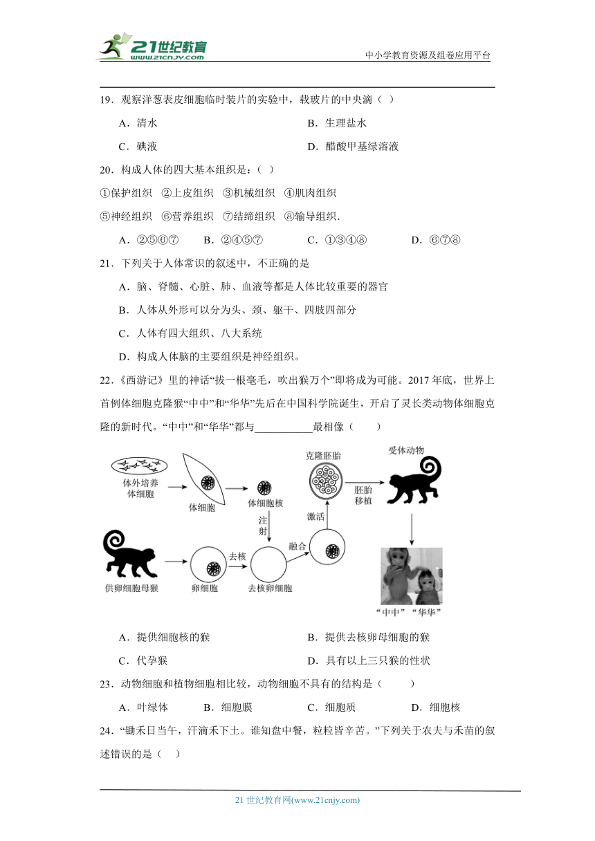 2023-2024年苏科版七年级下册生物期中综合训练（含解析）