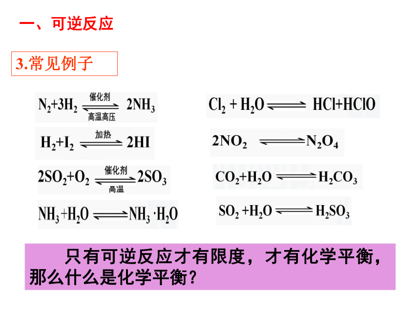 2.2.1 化学平衡状态 课件(共17张PPT) 2022-2023学年高二上学期化学人教版（2019）选择性必修1