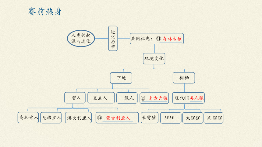 北师大版生物八年级下册 7.21.1 生命的起源 课件(共22张PPT)